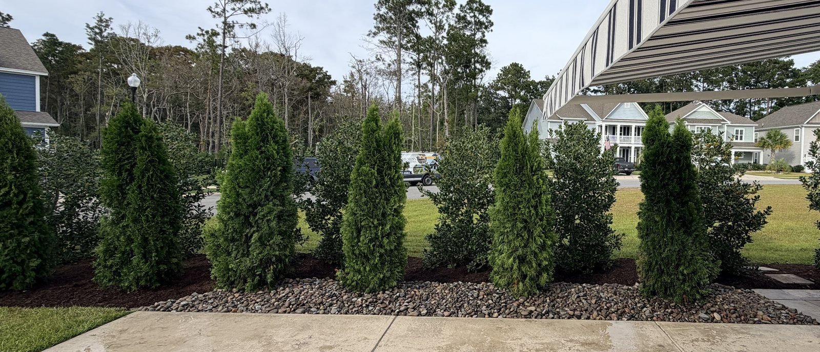 A row of evergreens and shrubs in a mulch and river rock bed along a patio