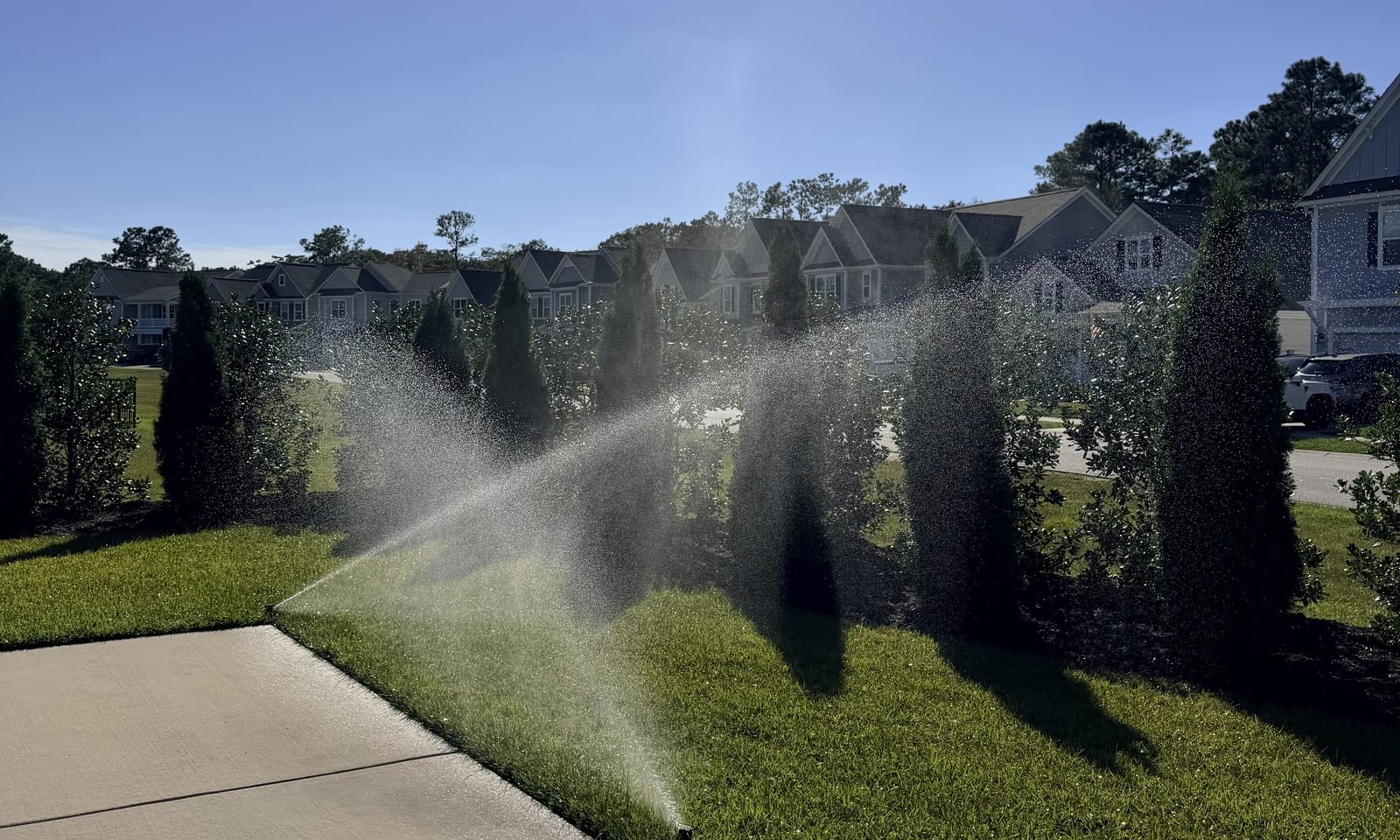 A Bess Irrigation sprinkler head spraying across a green lawn bordered by evergreens in the sun