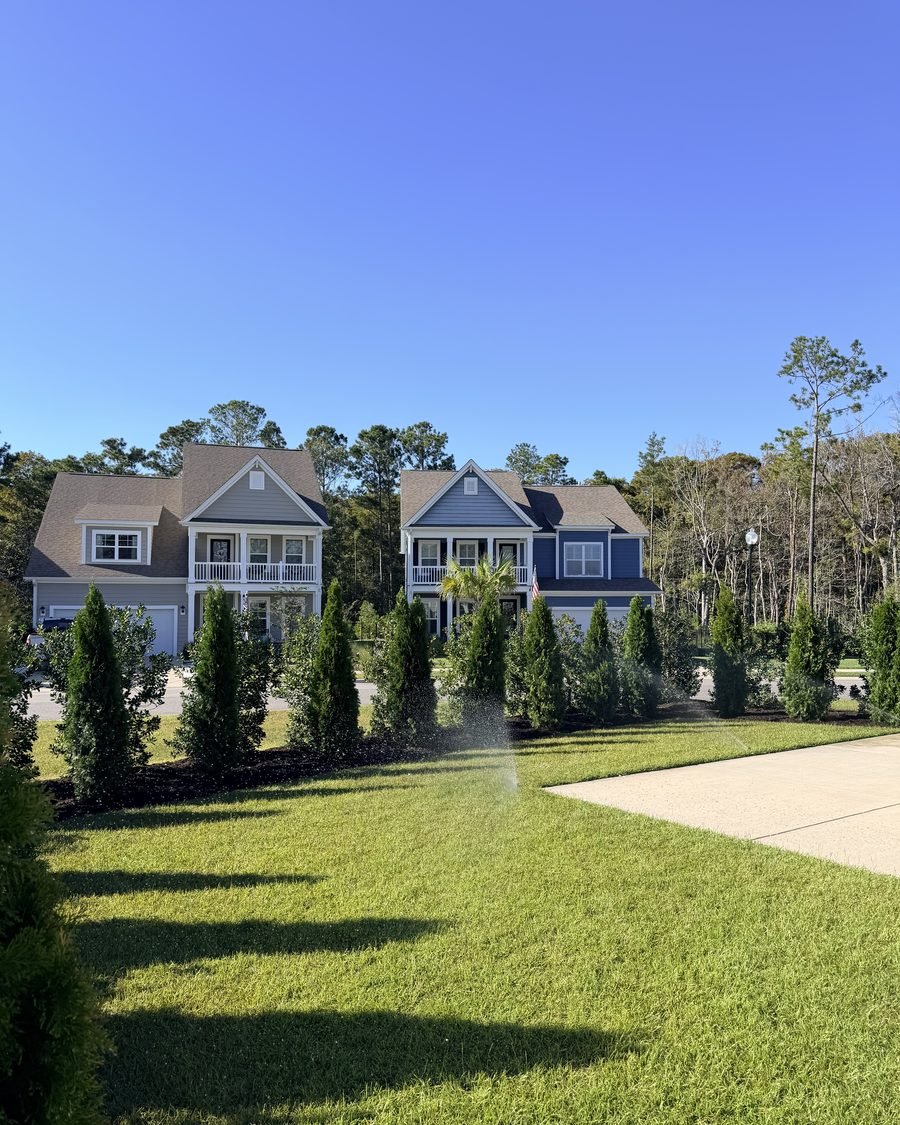 A row of evergreens along a healthy green lawn in front of two homes